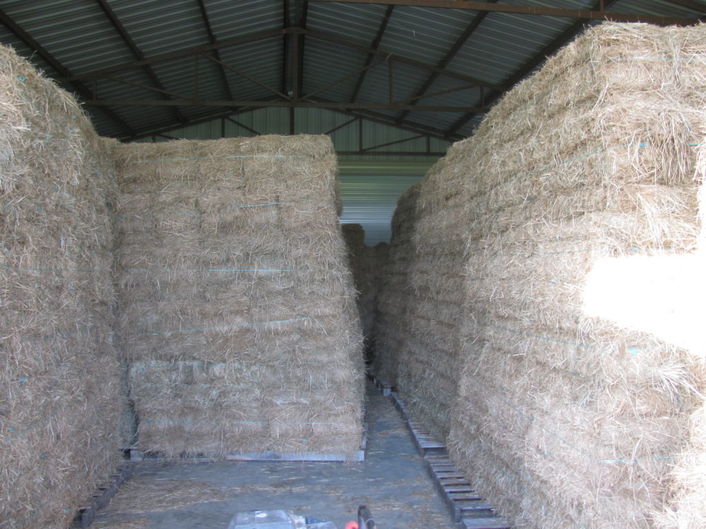 organic hay sale
